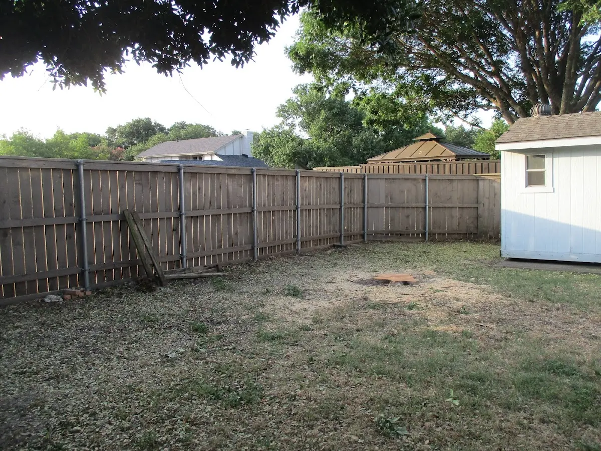 Cleared yard after professional tree removal in Big Bend National Park